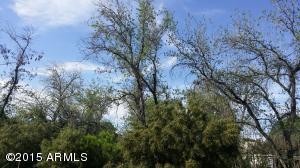 3242 E Flower St, Phoenix, AZ 85018 photo 10