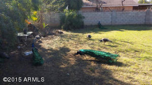 3242 E Flower St, Phoenix, AZ 85018 photo 4