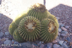 3101 E Taro Ln, Phoenix, AZ 85050 photo 3