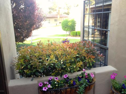 4105 E Altadena Ave, Phoenix, AZ 85028 photo 18