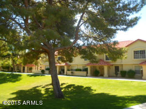 5808 E Brown Rd #94, Mesa, AZ 85205 photo 22