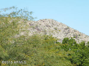 4138 E San Gabriel Ave, Phoenix, AZ 85044 photo 20