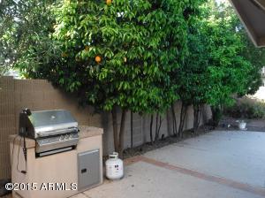 3858 E Keresan St, Phoenix, AZ 85044 photo 41