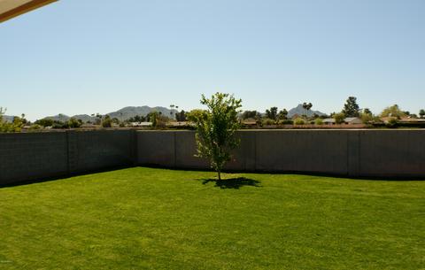 3861 E Larkspur Dr, Phoenix, AZ 85032 photo 12