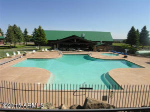 8232 Bogie Loop, Show Low, AZ 85901 photo 1