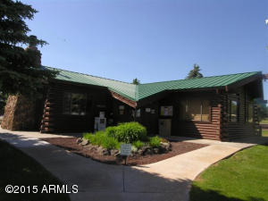 8232 Bogie Loop, Show Low, AZ 85901 photo 4
