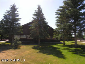 8232 Bogie Loop, Show Low, AZ 85901 photo 3