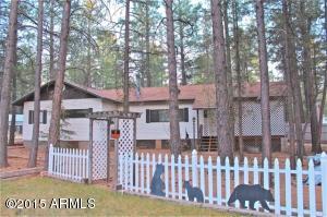 2181 Lone Star --, Overgaard, AZ 85933 photo 1