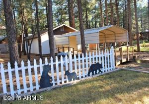 2181 Lone Star --, Overgaard, AZ 85933 photo 18