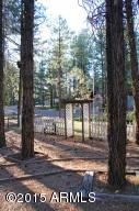 2181 Lone Star --, Overgaard, AZ 85933 photo 33