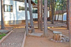 2181 Lone Star --, Overgaard, AZ 85933 photo 28