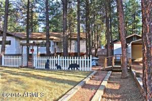 2181 Lone Star --, Overgaard, AZ 85933 photo 36