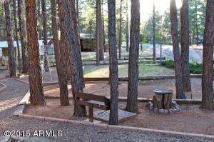 2181 Lone Star --, Overgaard, AZ 85933 photo 27