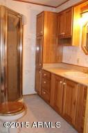 2181 Lone Star --, Overgaard, AZ 85933 photo 14