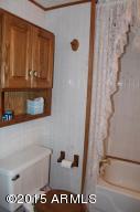 2181 Lone Star --, Overgaard, AZ 85933 photo 15