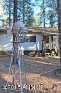 2181 Lone Star --, Overgaard, AZ 85933 photo 34
