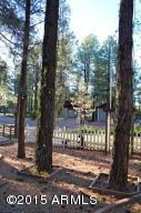 2181 Lone Star --, Overgaard, AZ 85933 photo 29