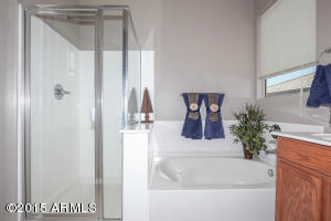 11030 E Starkey Ave, Mesa, AZ 85212 photo 10