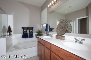 11030 E Starkey Ave, Mesa, AZ 85212 photo 11