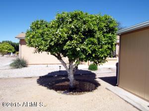 8248 E Desert Trl, Mesa, AZ 85208 photo 42