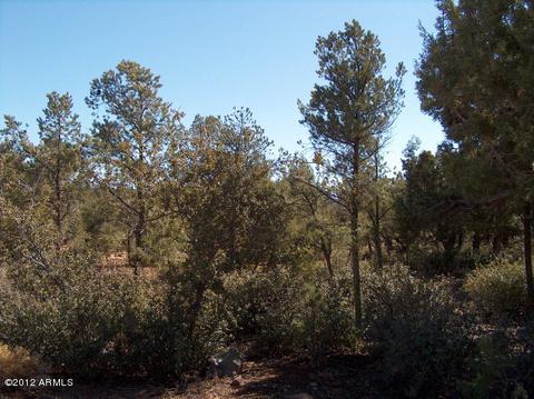 613 E Hunter Dr #42, Payson, AZ 85541 photo 5