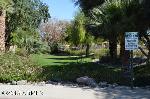4131 E Mercer Ln, Phoenix, AZ 85028 photo 42