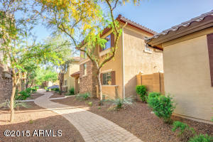 2467 E Vermont Dr, Gilbert, AZ 85295 photo 8