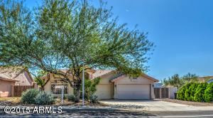 6705 E Preston St, Mesa, AZ 85215 photo 24