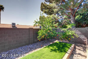 4229 E Tanglewood Dr, Phoenix, AZ 85048 photo 29