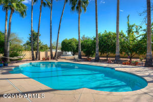 4233 E Shangri La Rd, Phoenix, AZ 85028 photo 24