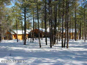 849-2652 Thomas Pollack --, Flagstaff, AZ 86005 photo 3