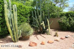 3320 E Glenrosa Ave, Phoenix, AZ 85018 photo 26