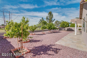 9745 E Lobo Ave, Mesa, AZ 85209 photo 10