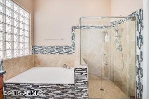 9745 E Lobo Ave, Mesa, AZ 85209 photo 36