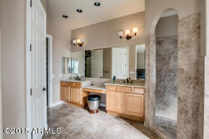 22439 S 178th Pl, Gilbert, AZ 85298 photo 41