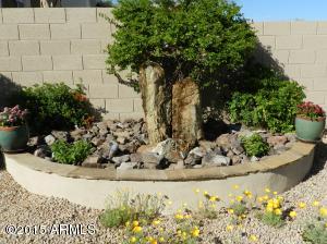 3154 E Tanglewood Dr, Phoenix, AZ 85048 photo 15