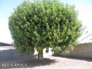 437 N 61st St, Mesa, AZ 85205 photo 20