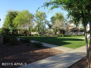 3815 Edna Dr, Gilbert, AZ 85296 photo 28