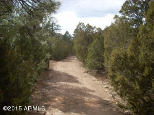 2960 East Lookout Ln, Overgaard, AZ 85933 photo 18