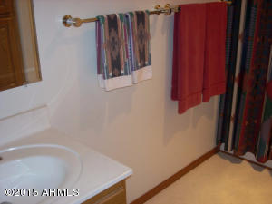 2960 East Lookout Ln, Overgaard, AZ 85933 photo 42