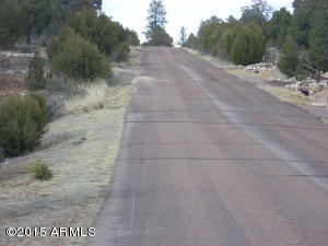 2960 East Lookout Ln, Overgaard, AZ 85933 photo 20