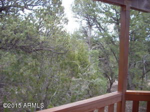 2960 East Lookout Ln, Overgaard, AZ 85933 photo 29