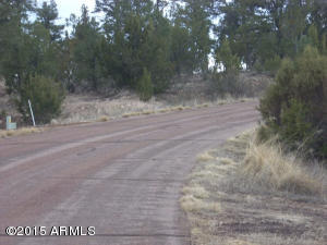 2960 East Lookout Ln, Overgaard, AZ 85933 photo 21