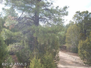 2960 East Lookout Ln, Overgaard, AZ 85933 photo 17
