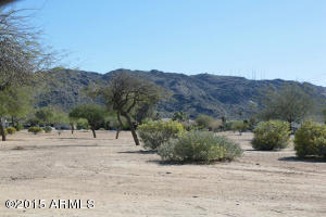 935 E Desert Dr, Phoenix, AZ 85042 photo 43