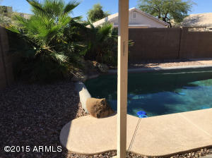 2259 W Renaissance Ave, Apache Junction, AZ 85120 photo 9