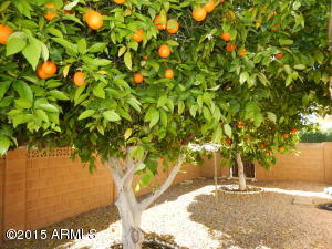 4107 E Calypso Ave, Mesa, AZ 85206 photo 25