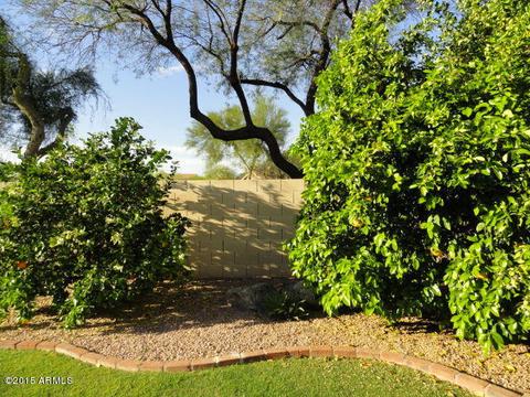 7220 E Lakeview Ave, Mesa, AZ 85209 photo 42