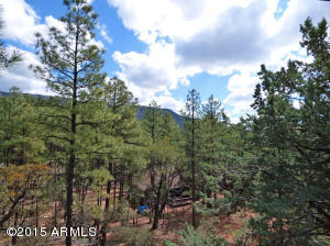 4557 N Serenity Cir, Pine, AZ 85544 photo 19