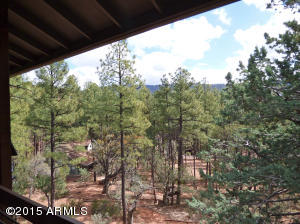 4557 N Serenity Cir, Pine, AZ 85544 photo 17